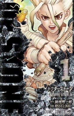 Dr. Stone Fan Quiz