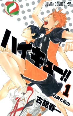 Haikyu!! Fan Knowledge Quiz