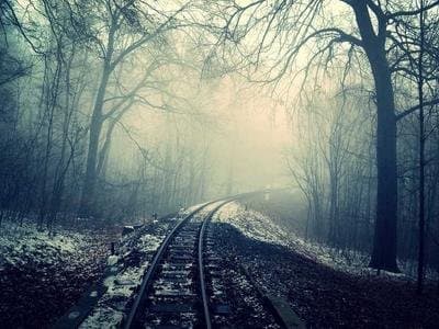 Highly Sensitive Person (HSP) Traits Test